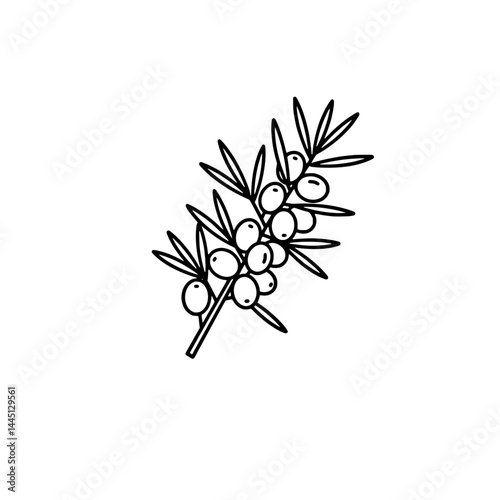 The sea buckthorn icon, representing the concepts of berry health and natural health