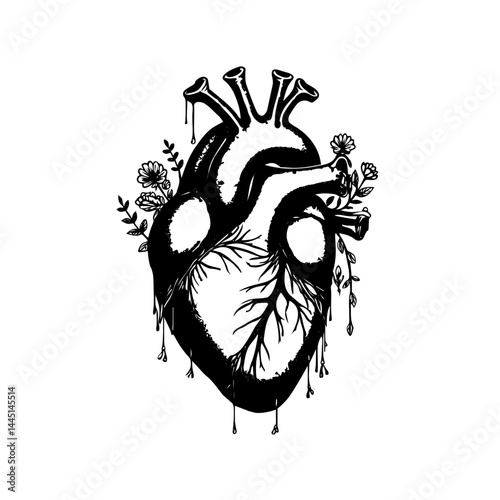 illustration of human heart vector