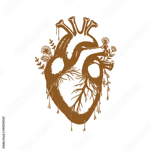 illustration of human heart