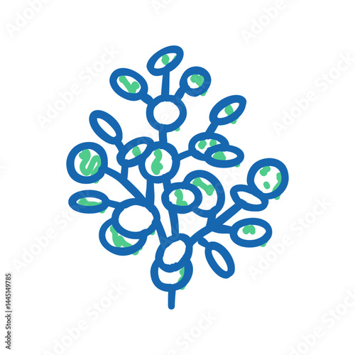 eucalyptus aromatherapy color icon vector isolated illustration