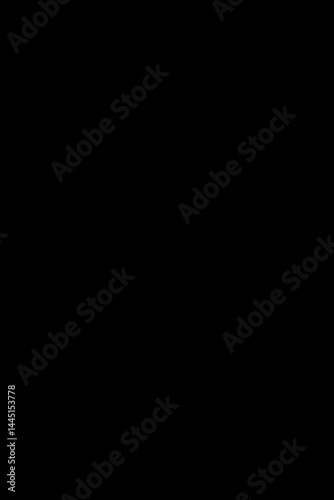 Empty Black Image Background