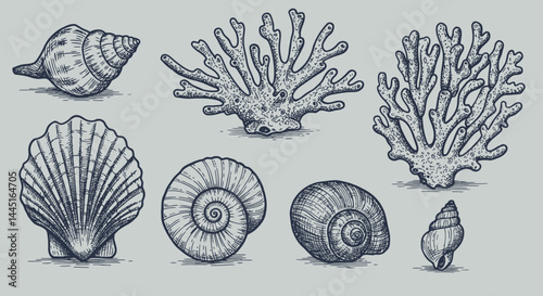 "Hand Drawn Vector Illustrations of Animals, Sea Creatures, Fruits, and Fast Food in Bold Ink Style