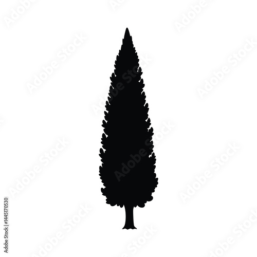 Hand Drawn Cypress Tree Silhouettes Vector Sketch
