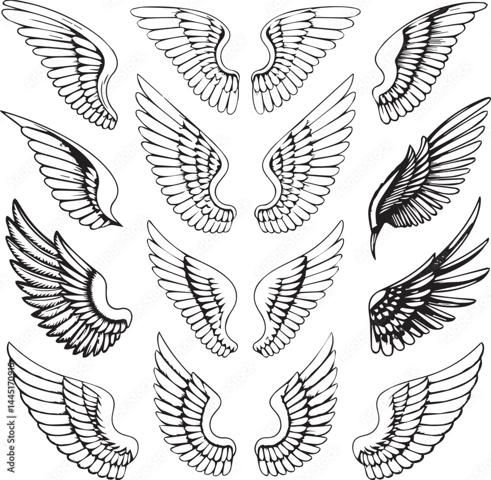 Obraz premium set of wings vector