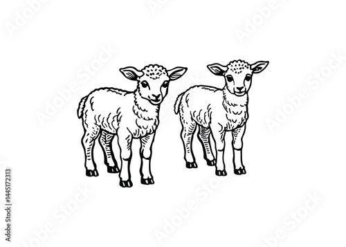 Silhouette of lambs isolated on a white background
