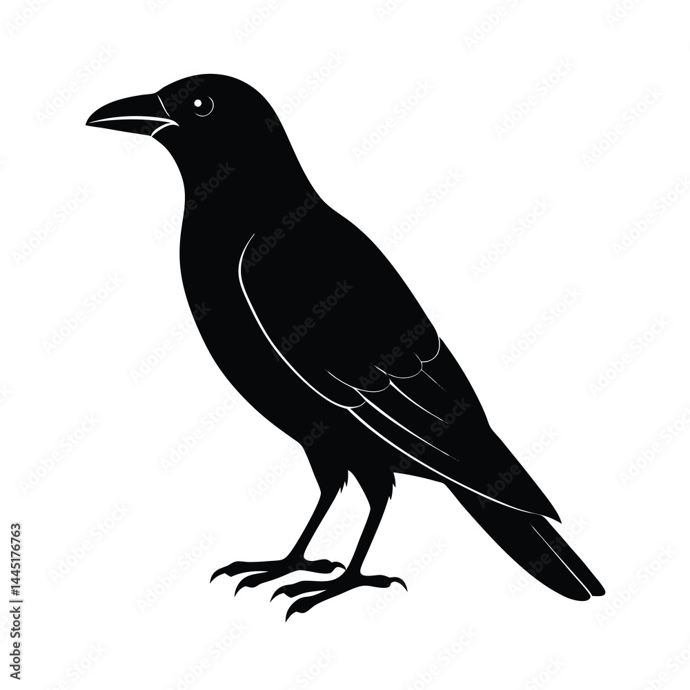 Fototapeta premium Crow Perched Silhouette Vector Clean and Striking 9