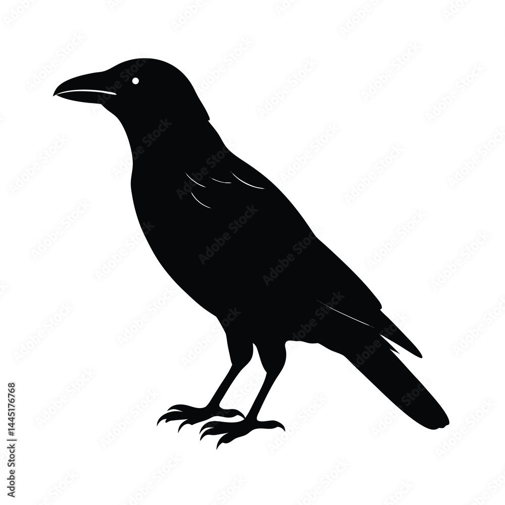 Fototapeta premium Crow Perched Silhouette Vector Clean and Striking 3