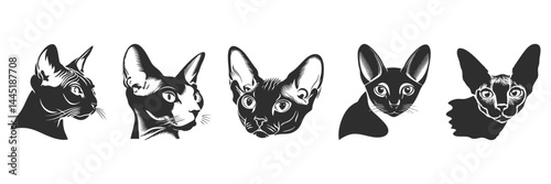 Sphynx Cat Silhouettes Set. Unique Hairless Cat Illustrations For Pet Lovers And Design Projects. Isolated Vector Illustration Collection
