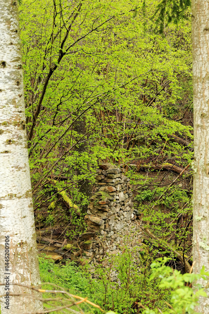 Obraz premium Stone Remains in the Lush Forests of Ezcaray