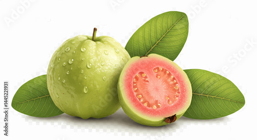 A photograph focusing on a peaceful and picturesque landscape shows a guava and two leaves. The guava appears against a transparent background with no side shadows. Vector illustration