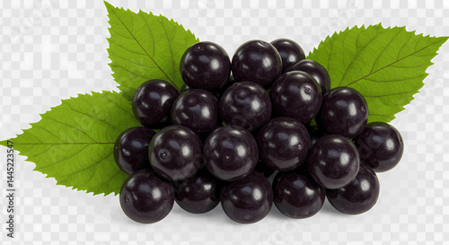 The flower is centered around a cluster of glossy, dark purple to black berries. The berries are round and slightly variegated in size. The background is transparent and without lateral shadows. 