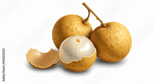The digitally generated image, which features vivid colors and sharp clarity, shows three longyan fruits placed against a transparent background. Vector illustration