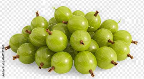 A digitally generated image in vivid colors, showing a bunch of bright green gooseberries. The lighting blends warm golden sunlight with cool ambient light, against a transparent background. Vector 