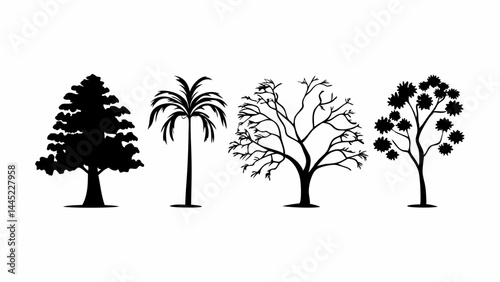 A collection of 4 black silhouette vector tree illustrations, including a conifer, palm, deciduous, and fruit tree. Designed in a simple, clean style, perfect for infographics, educational posters, en