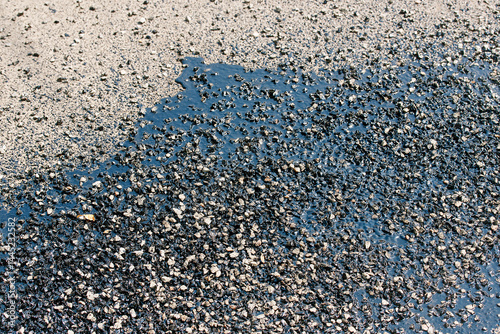 Obraz na płótnie Asphalt patch closeup. Fresh asphalt patch with bitumen and resin coat applied to cracked road surface during street repair and maintenance works ensuring improved urban infrastructure quality w salonie