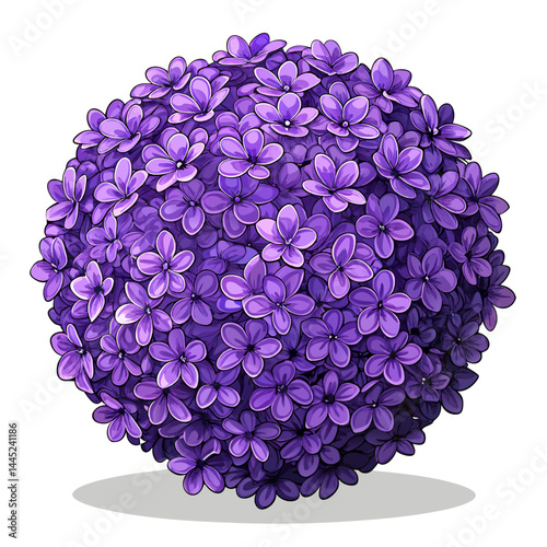A vibrant purple ball of flowers set against a clean white background.
