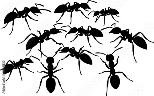 Insect Insects ant ants emmet pismire banner Vector, vector set silhouette
