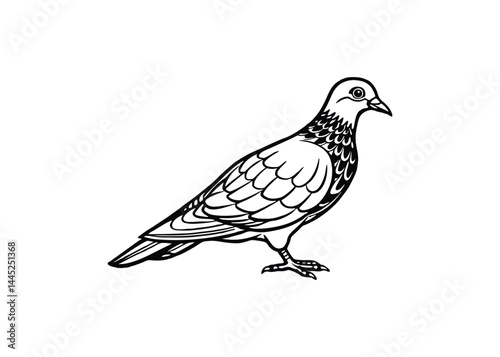 Silhouette of passenger pigeon isolated on a white background