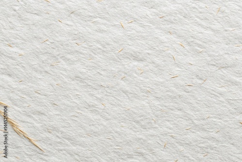 white background papper texture and element