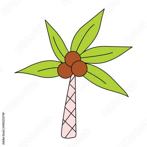 An image of a tropical palm tree in a flat style with coconuts on a white background.