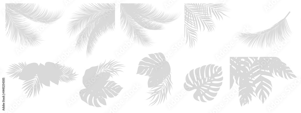 set of Realistic shadow overlay effect. Natural palm leaf shadows isolated on transparent background. Tropical coconut branch shade, foliage silhouette decoration