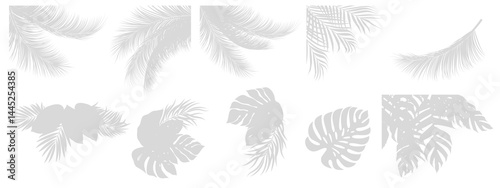 set of Realistic shadow overlay effect. Natural palm leaf shadows isolated on transparent background. Tropical coconut branch shade, foliage silhouette decoration