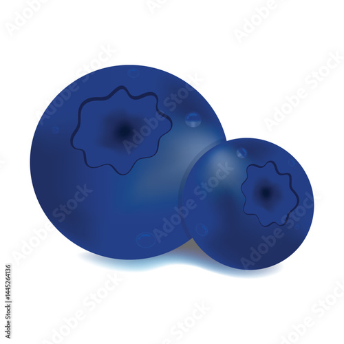Two round blueberries of rich blue color with a glossy surface. The image is made in a realistic style.