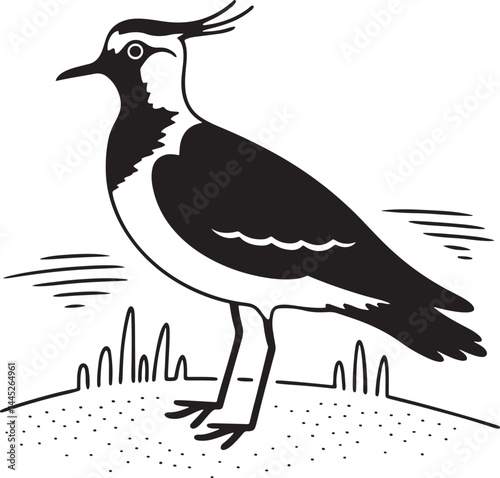 northern lapwing bird silhouette printable design