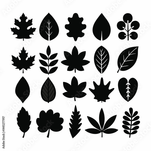 Grid of Stylized Black Leaf Silhouettes – Variety of Foliage Shapes and Types
