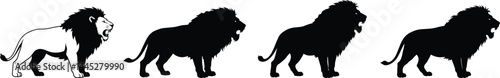  Majestic Lion Silhouette Progression - From Outline to Solid Form Transparent on White Background AI Generative