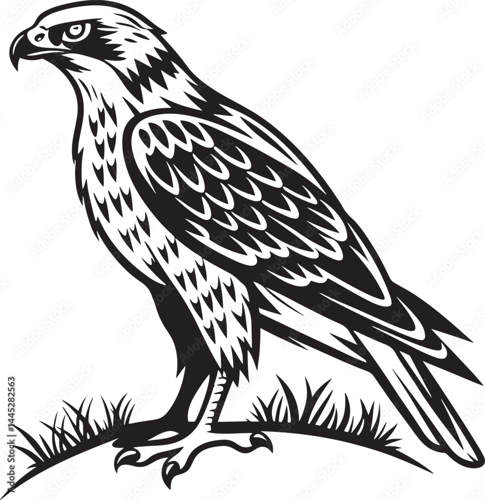 Fototapeta premium Peregrine Falcon bird silhouette vector illustration