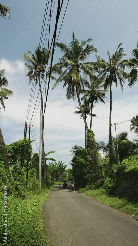 Carretera entre palmeras, Bali, Indonesia