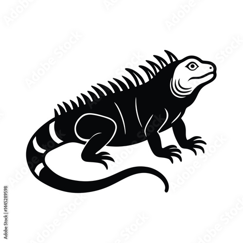 Iguana basking in the sun with a spiky back silhouette	