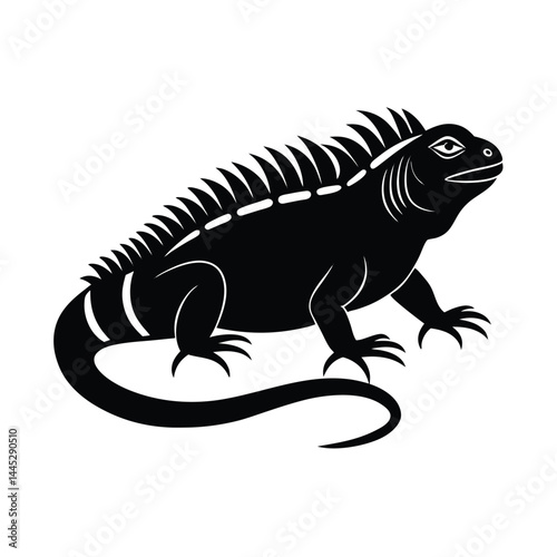 Iguana basking in the sun with a spiky back silhouette	