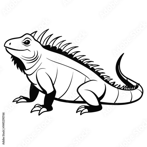 Iguana basking in the sun with a spiky back silhouette	