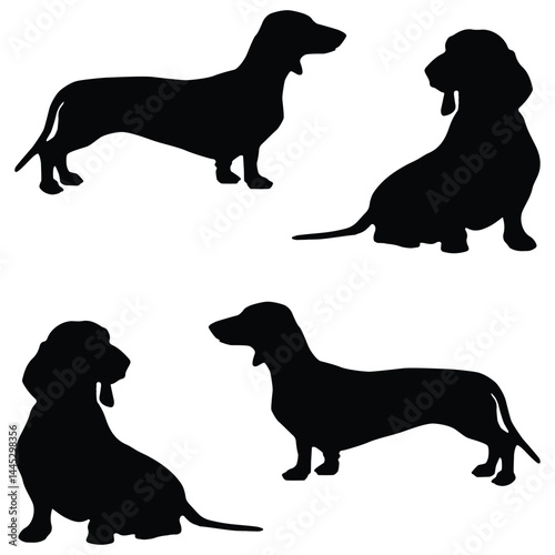 Dachshund silhouette illustration Design Dachshund Dog silhouette dogs