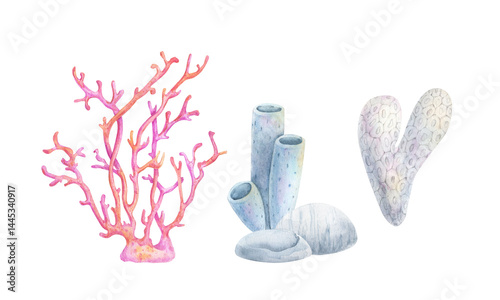 Watercolor illustration of coral reef elements: pink coral, blue tube sponges, yellow sea sponges, and stones. Hand-painted marine set on white background, perfect for ocean-themed design.