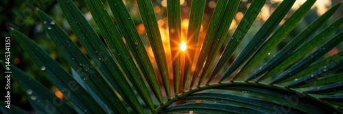 Intricate dark green palm leaf design, radiant orange sun glow , exotic, background, illustration