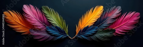 Symmetrical feather arrangement, stark contrast , feathers, bird