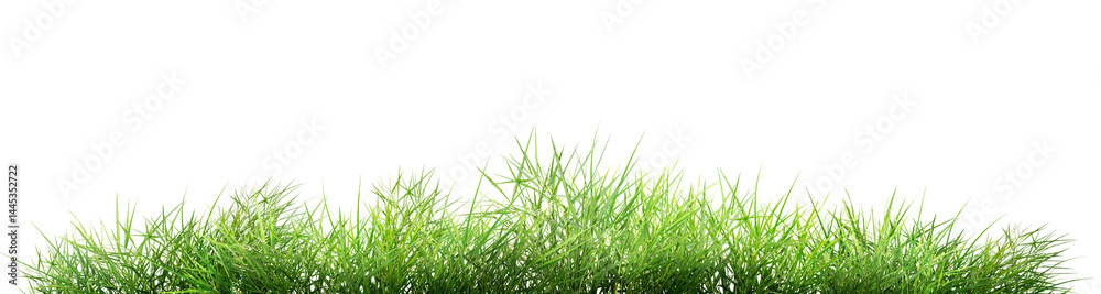 Fototapeta premium green grass isolated on white background/The green grass is outdoors on a white background.