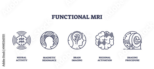 Functional MRI icons show neural activity, brain imaging, and MRI scanner in a clear outline style, transparent background. Outline icons set