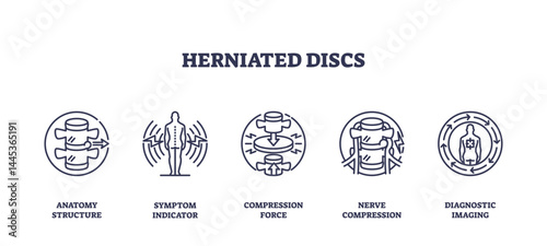 Herniated discs are illustrated with outline icons showing anatomy, symptoms, and compression, transparent background. Outline icons set.
