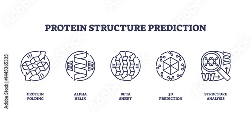 Protein structure prediction icons show protein folding, alpha helix, and beta sheet concepts in a clear outline style, transparent background. Outline icons set