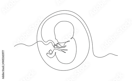 Continuous single line of baby fetus in mother womb. Human embryo with umbilical cord sketch drawing editable stroke vector illustration