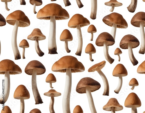 Brown Mushrooms Seamless Pattern