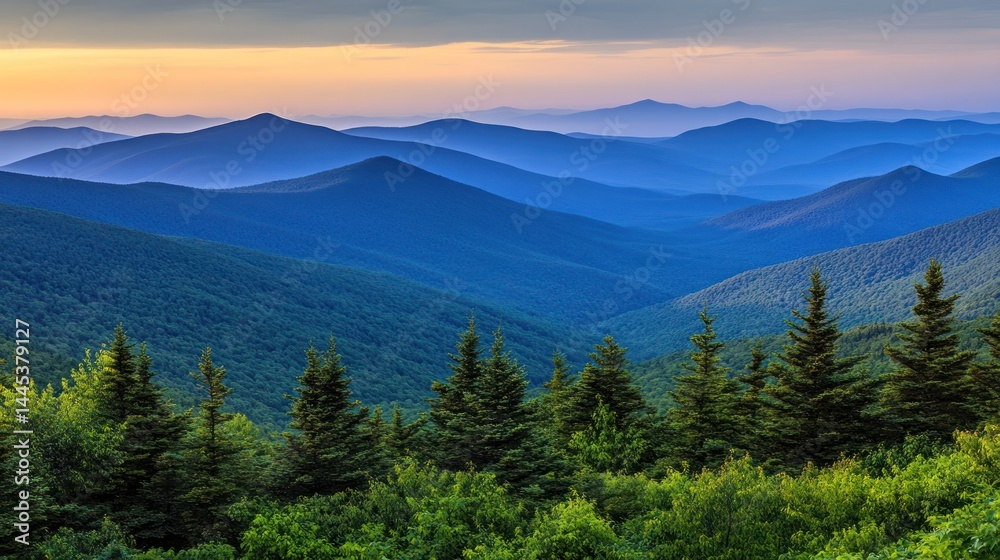 Obraz premium Misty mountain range at dawn (1)