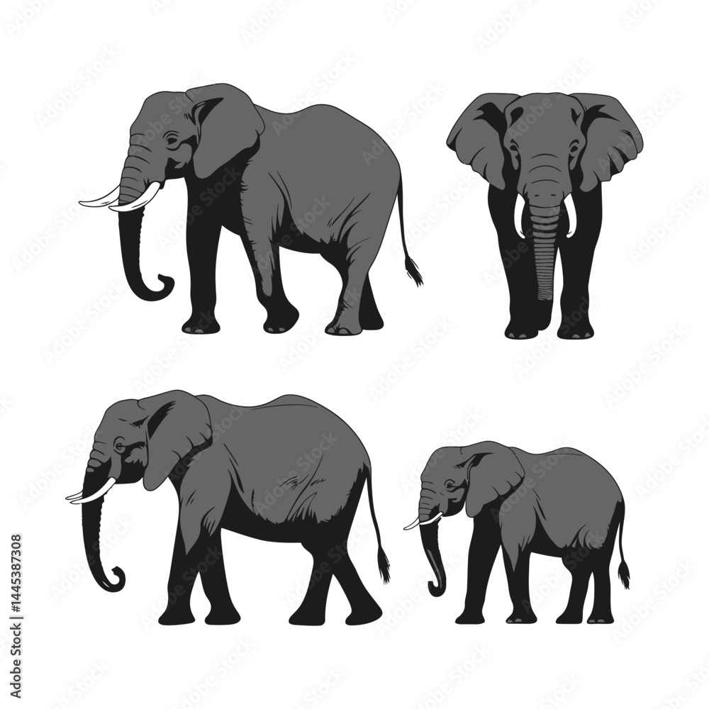 Fototapeta premium Elephant Family Clipart on White
