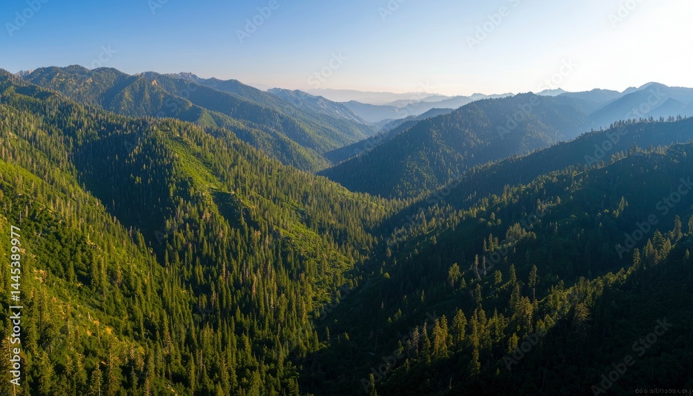 Fototapeta premium Mountain valley, lush forest