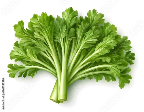 Fresh Green Chrysanthemum Greens