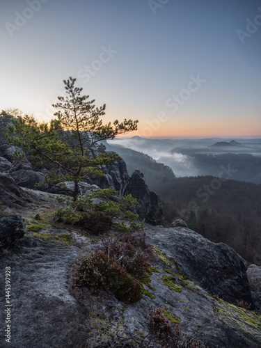 the tree at the cliff - Der Baum an der Klippe